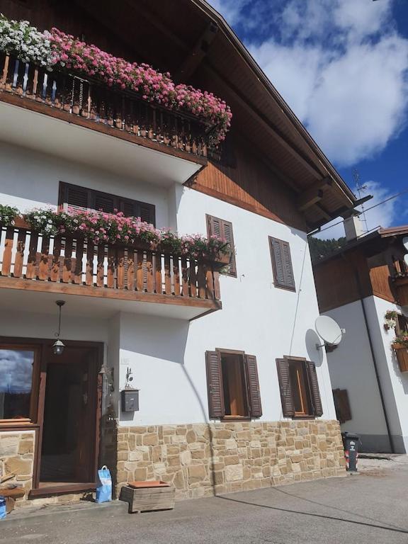 Casa Phoenix Appartamento Piano Terra Immerso Nel Verde A Pochi Minuti Dalla Ciclabile Pieve di Cadore Exterior photo