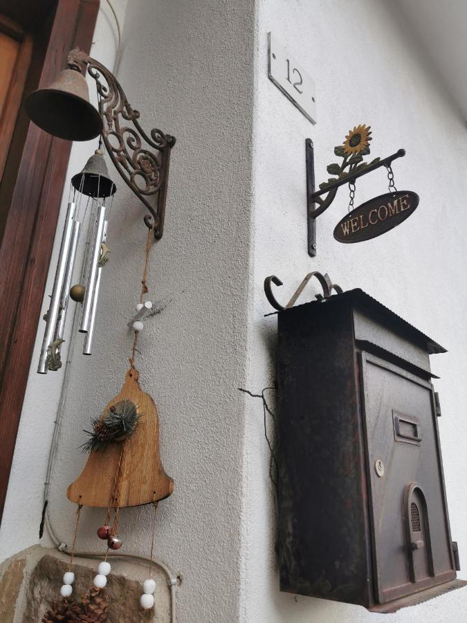 Casa Phoenix Appartamento Piano Terra Immerso Nel Verde A Pochi Minuti Dalla Ciclabile Pieve di Cadore Exterior photo